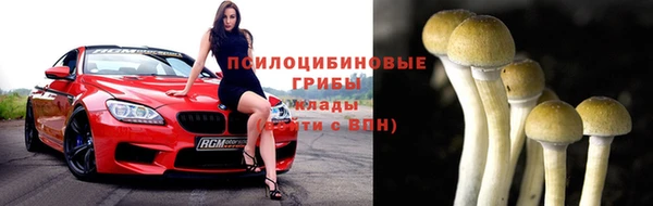 2c-b Алзамай