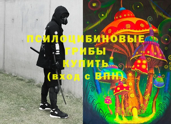 2c-b Алзамай