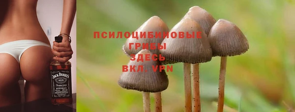 2c-b Алзамай