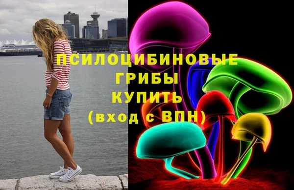 2c-b Алзамай