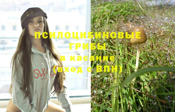 скорость Пересвет