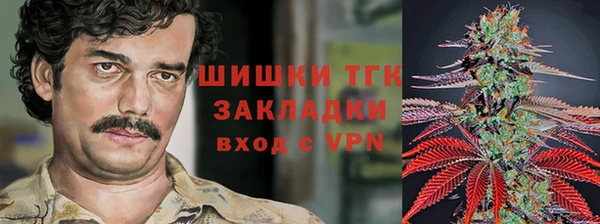 2c-b Алзамай