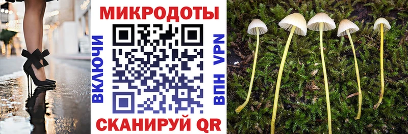 Галлюциногенные грибы ЛСД Артёмовск